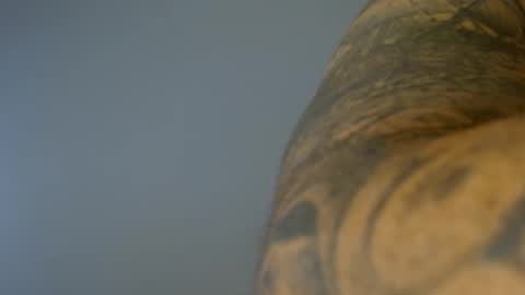 elosocazador online show from November 6, 7:17 pm