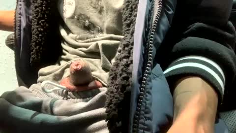 Snapshot of elvergg1 chatting on January 11, 10:51 am elvergg1 online show from January 11, 10:51 am