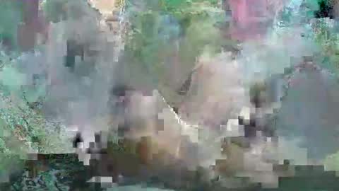 emiliobwc online show from April 6, 3:14 am