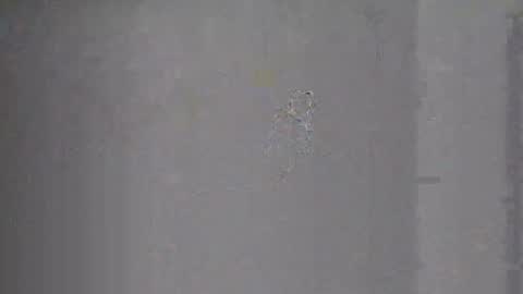 Eric Buck online show from December 31, 5:11 am