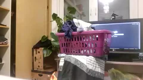 everymomenthorney online show from November 22, 6:51 pm