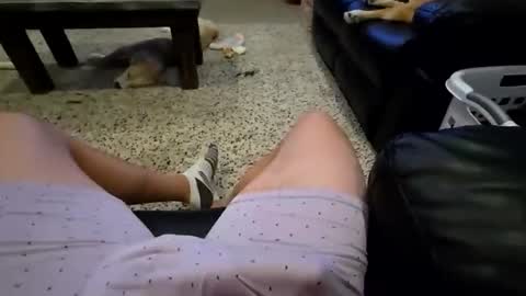 faker1414 online show from February 2, 2:10 am