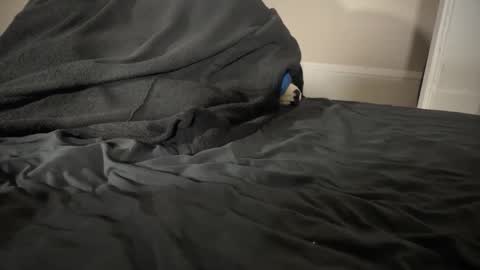 Fango online show from January 12, 2:37 am