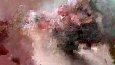 Farm2boy online show from April 13, 5:24 pm