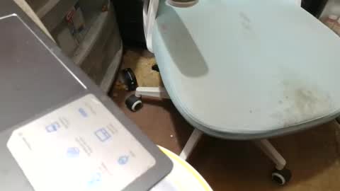 Fred. online show from November 7, 8:56 pm