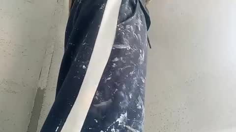 fedexxxxxxxxxxxxxx online show from September 8, 2:27 pm