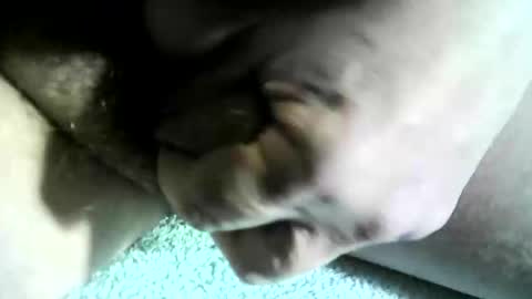 felicaste online show from January 24, 1:24 am