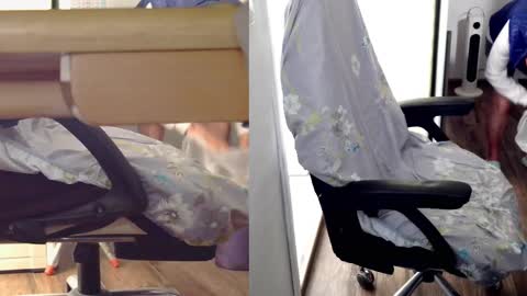 felixlau online show from February 24, 7:22 am