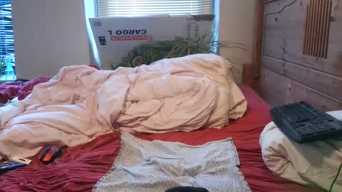 Fietesh the whore is ready to use online show from January 2, 9:00 am