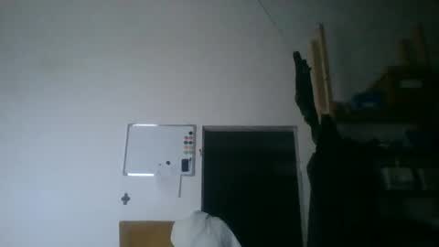 fine_nice online show from December 20, 6:37 pm