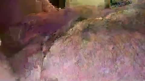 fistffun1 online show from February 2, 1:30 pm