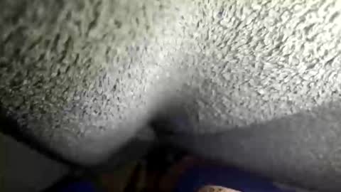 flaash_99 online show from March 2, 11:28 am