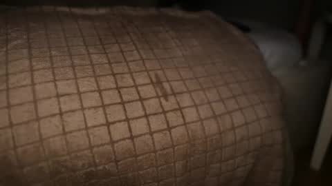 flyfennis online show from February 1, 4:35 am