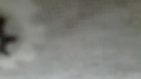 flyn12 online show from December 1, 2:36 am