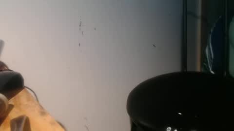 Snapshot of forestnymphpdx chatting on January 30, 9:04 am forestnymphpdx online show from January 30, 9:04 am