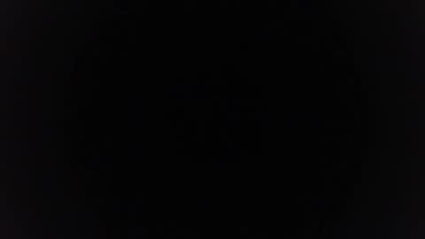 freightzz online show from December 16, 7:59 am