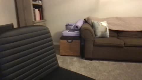 Fuck Me in GR online show from November 12, 3:45 am