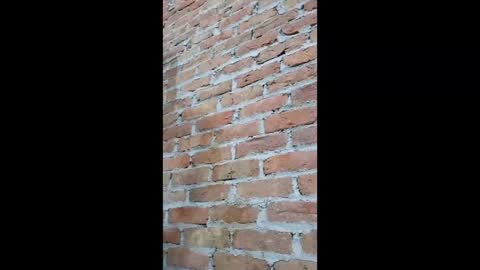 Fuckerrkapil online show from January 7, 7:46 am