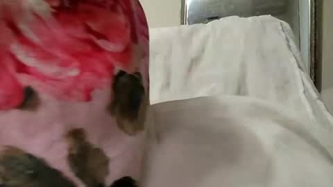 Snapshot of fuckme6801 chatting on December 8, 12:19 pm fuckme6801 online show from December 8, 12:19 pm