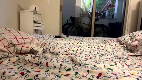 Snapshot of fuklicious chatting on January 9, 12:19 pm fuklicious online show from January 9, 12:19 pm