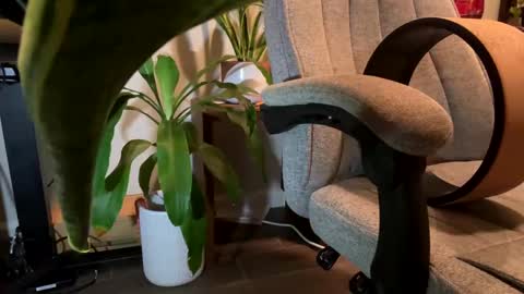 Snapshot of fuklicious chatting on January 19, 3:39 am fuklicious online show from January 19, 3:39 am