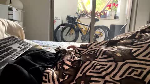 Snapshot of fuklicious chatting on January 29, 4:30 pm fuklicious online show from January 29, 4:30 pm