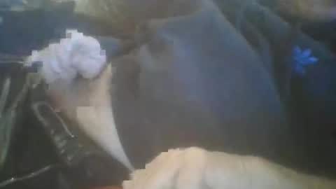 funthum19 online show from January 11, 9:46 am