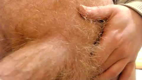 gae89tano online show from February 16, 9:15 am