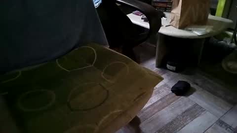 Snapshot of gazdadoka chatting on March 12, 8:51 am gazdadjoka online show from March 12, 8:51 am