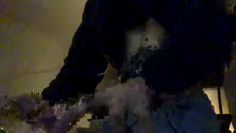 teo online show from November 17, 11:08 pm