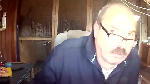 germany_50 online show from December 15, 2:25 pm