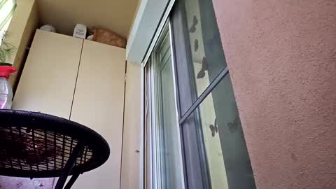 gigis111 online show from February 12, 11:29 am