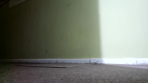 gigis111 online show from February 1, 7:44 pm