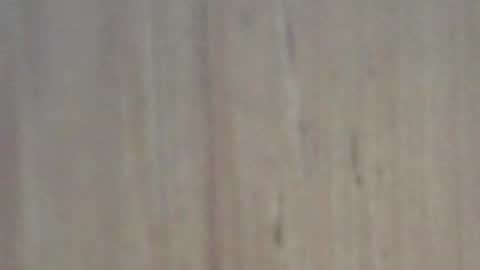 Snapshot of glyder1961 chatting on February 7, 3:41 pm Glyder online show from February 7, 3:41 pm