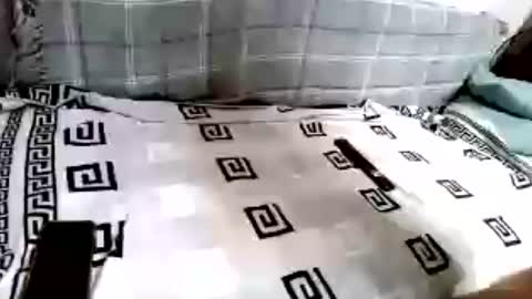 Go- online show from July 9, 7:39 pm