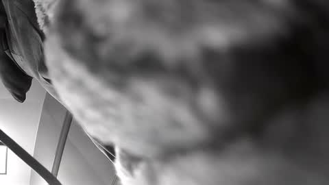 Get US to 1000 you wont be disapointed online show from December 10, 6:22 am