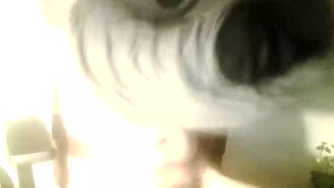 Dislove online show from December 1, 11:41 pm