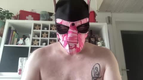 gummicasual online show from December 18, 10:44 am