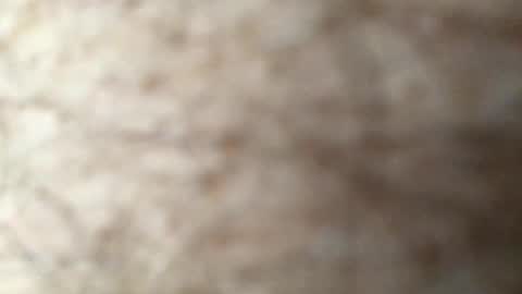 guttersnipe71 online show from April 1, 10:17 am