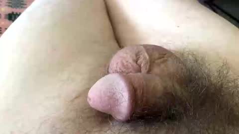 guttersnipe71 online show from April 1, 1:41 pm