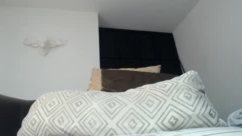 Andy online show from November 16, 12:51 pm