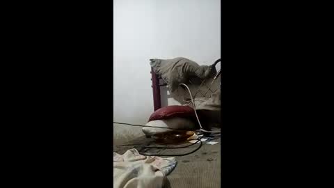 h30anoss online show from April 17, 5:10 am