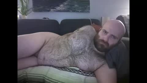Hairiest Bear online show from April 2, 9:28 am