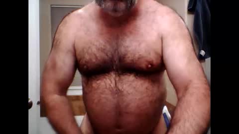 hairydaddreams online show from November 13, 2:38 am