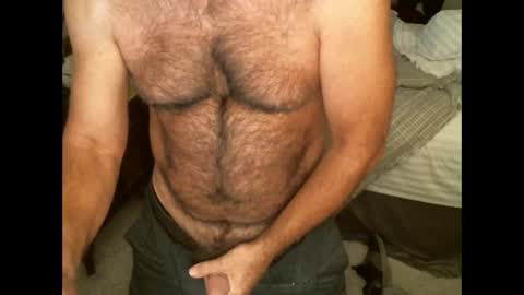 Snapshot of hairypecsguy chatting on October 28, 1:52 am Hairy pecs online show from October 28, 1:52 am