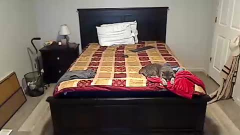 hammerthatthang73 online show from April 11, 7:45 am