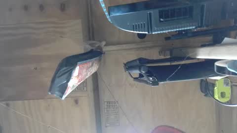 naked man online show from December 8, 5:50 am