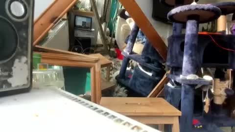 handncocknocum online show from March 9, 8:18 am