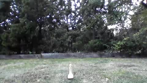 Snapshot of handysmurf chatting on October 1, 2:32 pm HandySmurf online show from October 1, 2:32 pm