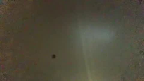 For You online show from February 3, 8:57 am